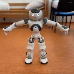 Diplomová práca - cvičenie s humanoidným robotom